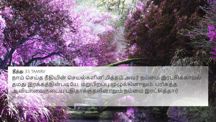 தீத்து 3:5 TAMIRV Bible Verse Image