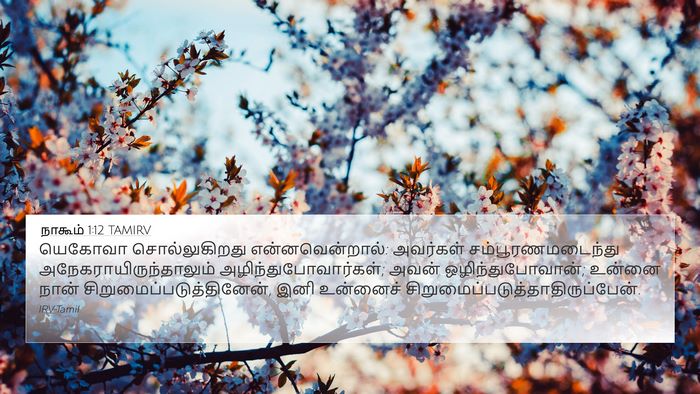 நாகூம் 1:12 TAMIRV 4K Wallpaper - யெகோவா - 4K Wallpaper Bible Verse
