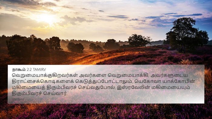 நாகூம் 2:2 TAMIRV Bible Verse Image
