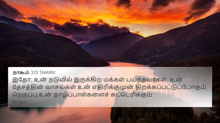 நாகூம் 3:13 TAMIRV Bible Verse Image
