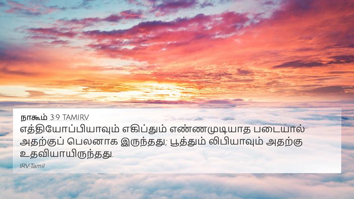 நாகூம் 3:9 TAMIRV Bible Verse Image
