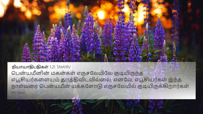 நியாயாதிபதிகள் 1:21 TAMIRV Bible Verse Image