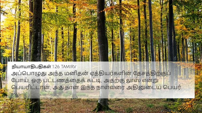 நியாயாதிபதிகள் 1:26 TAMIRV Bible Verse Image