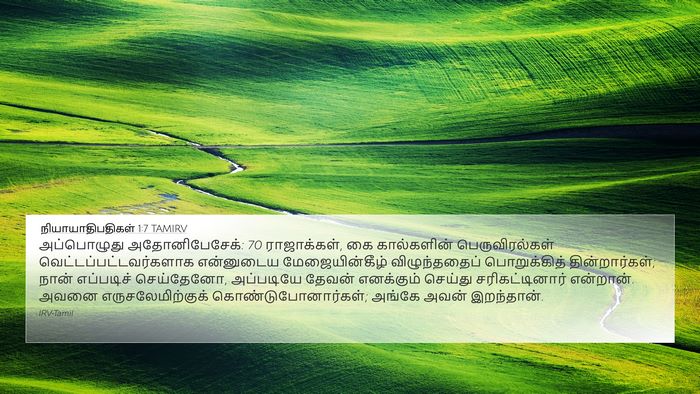நியாயாதிபதிகள் 1:7 TAMIRV Bible Verse Image