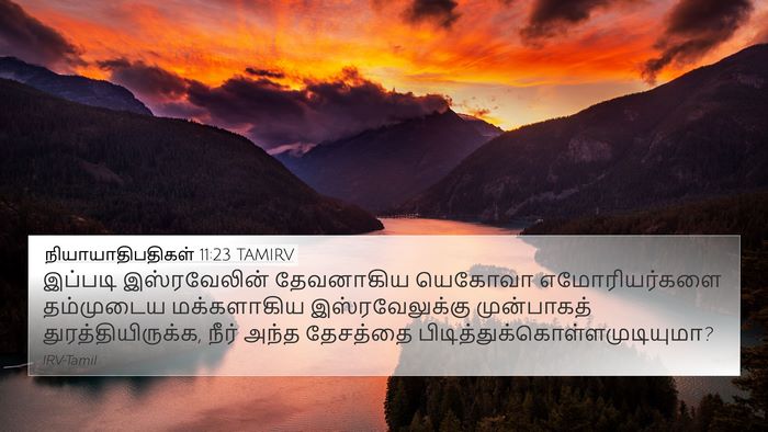 நியாயாதிபதிகள் 11:23 TAMIRV Bible Verse Image