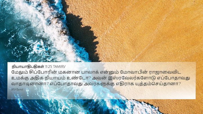 நியாயாதிபதிகள் 11:25 TAMIRV Bible Verse Image
