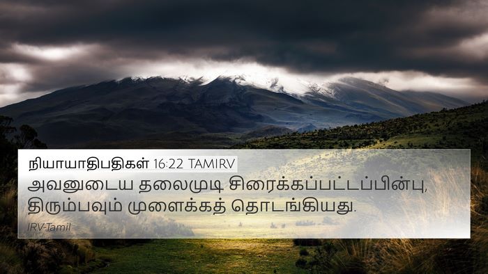 நியாயாதிபதிகள் 16:22 TAMIRV Bible Verse Image