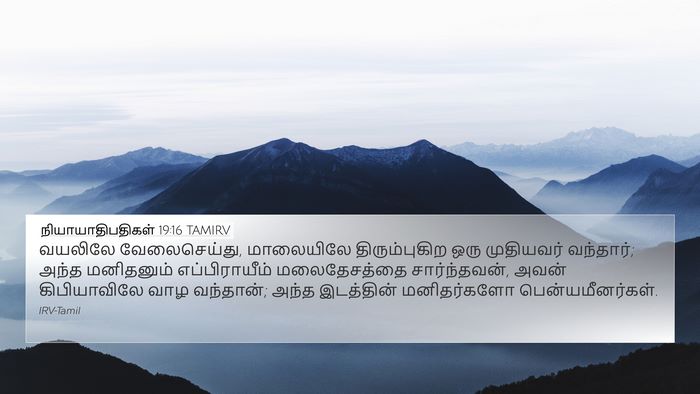 நியாயாதிபதிகள் 19:16 TAMIRV Bible Verse Image