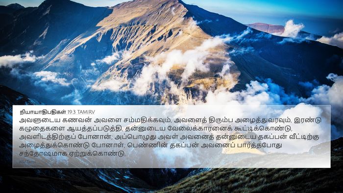 நியாயாதிபதிகள் 19:3 TAMIRV Bible Verse Image
