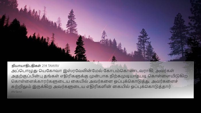 நியாயாதிபதிகள் 2:14 TAMIRV Bible Verse Image