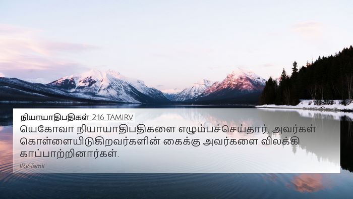 நியாயாதிபதிகள் 2:16 TAMIRV Bible Verse Image