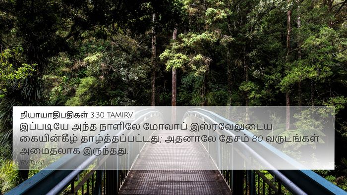 நியாயாதிபதிகள் 3:30 TAMIRV Bible Verse Image