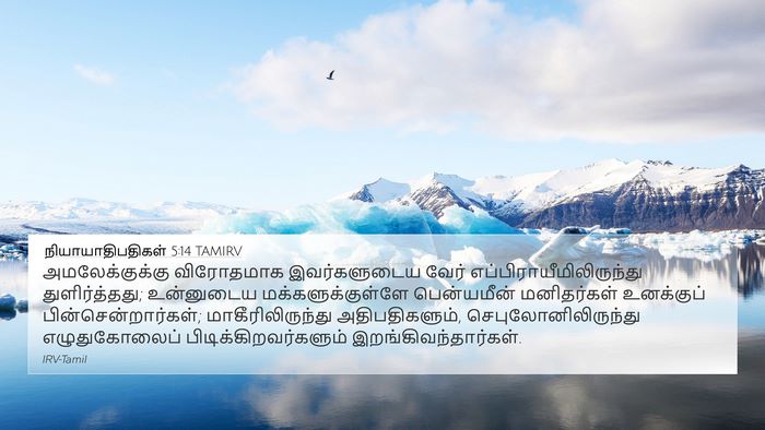 நியாயாதிபதிகள் 5:14 TAMIRV Bible Verse Image