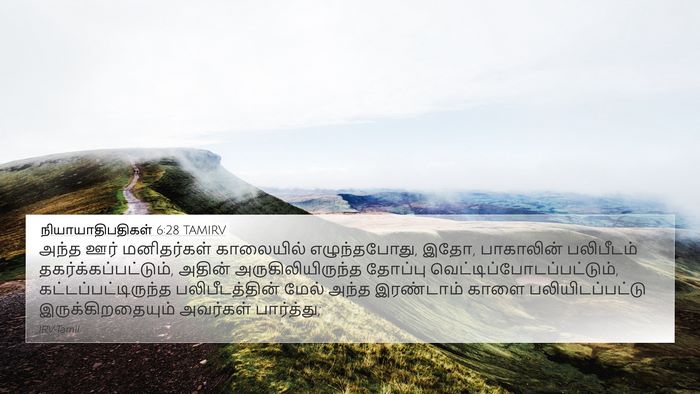 நியாயாதிபதிகள் 6:28 TAMIRV Bible Verse Image