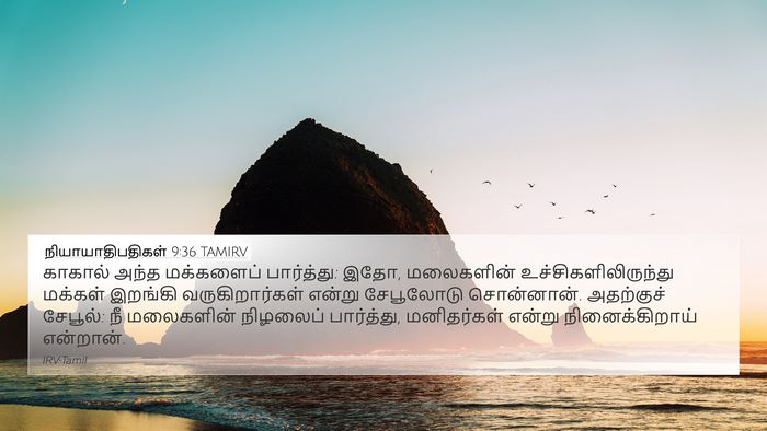 நியாயாதிபதிகள் 9:36 TAMIRV Bible Verse Image