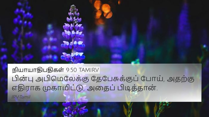 நியாயாதிபதிகள் 9:50 TAMIRV Bible Verse Image