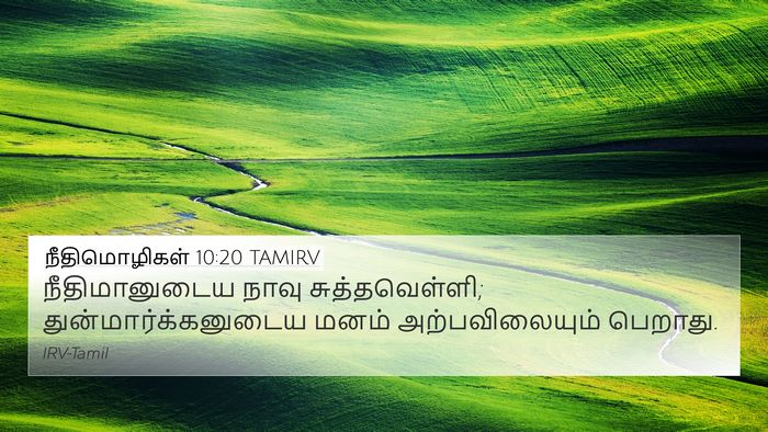நீதிமொழிகள் 10:20 TAMIRV Bible Verse Image
