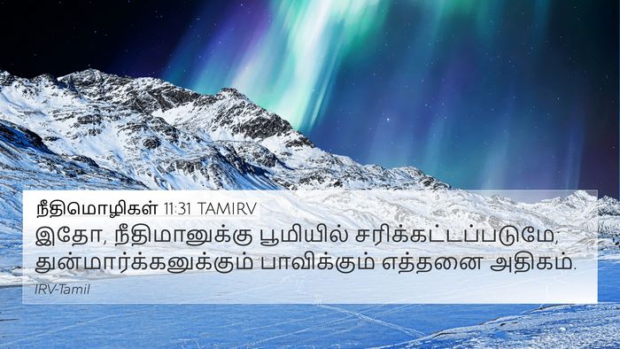 நீதிமொழிகள் 11:31 TAMIRV Bible Verse Image