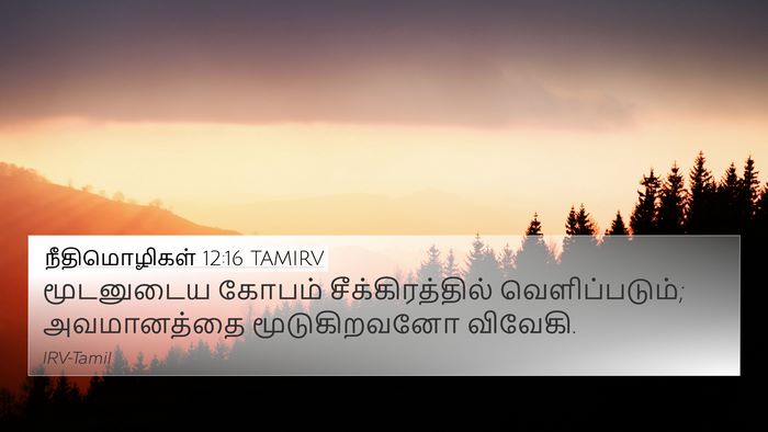 நீதிமொழிகள் 12:16 TAMIRV Bible Verse Image