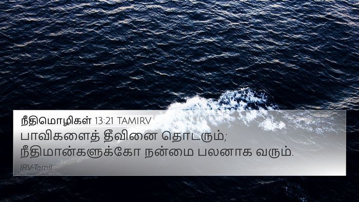 நீதிமொழிகள் 13:21 TAMIRV Bible Verse Image