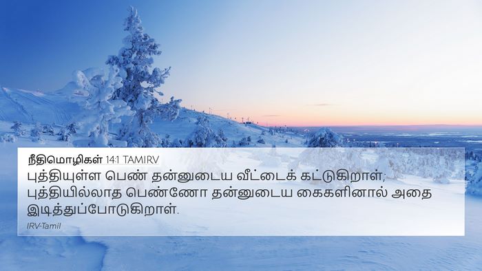 நீதிமொழிகள் 14:1 TAMIRV Bible Verse Image