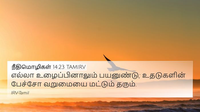 நீதிமொழிகள் 14:23 TAMIRV Bible Verse Image