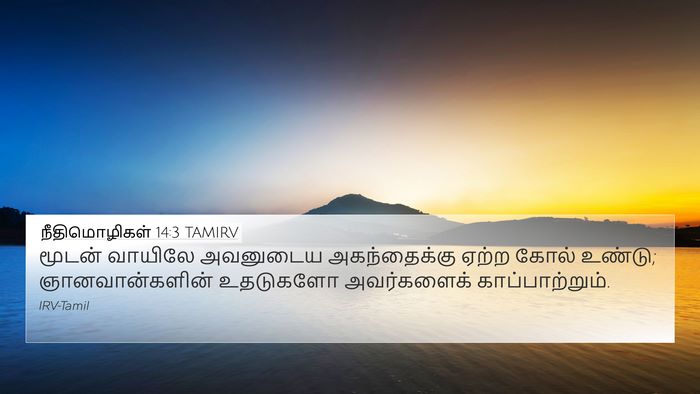 நீதிமொழிகள் 14:3 TAMIRV Bible Verse Image