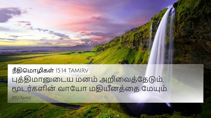நீதிமொழிகள் 15:14 TAMIRV Bible Verse Image
