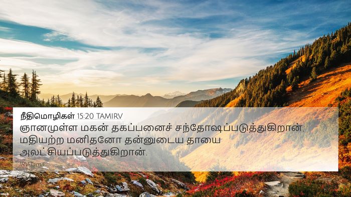 நீதிமொழிகள் 15:20 TAMIRV Bible Verse Image