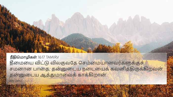 நீதிமொழிகள் 16:17 TAMIRV Bible Verse Image