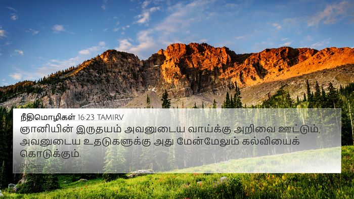நீதிமொழிகள் 16:23 TAMIRV Bible Verse Image