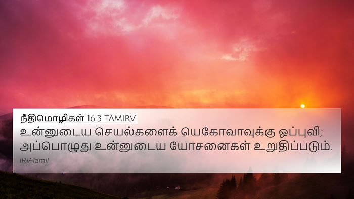 நீதிமொழிகள் 16:3 TAMIRV Bible Verse Image