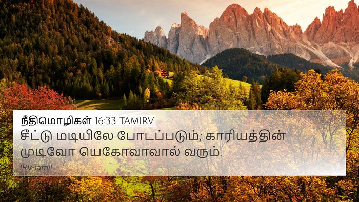 நீதிமொழிகள் 16:33 TAMIRV Bible Verse Image
