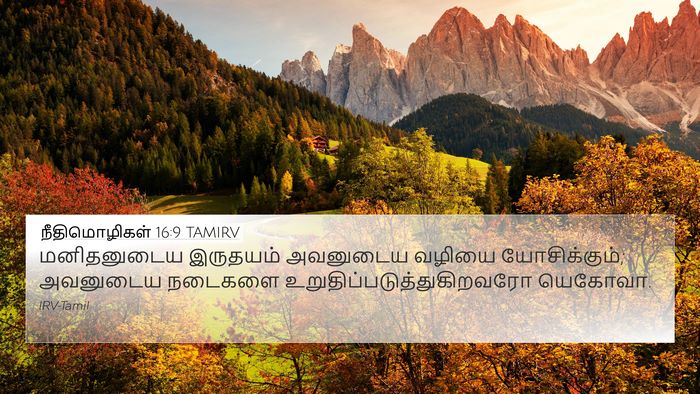 நீதிமொழிகள் 16:9 TAMIRV Bible Verse Image