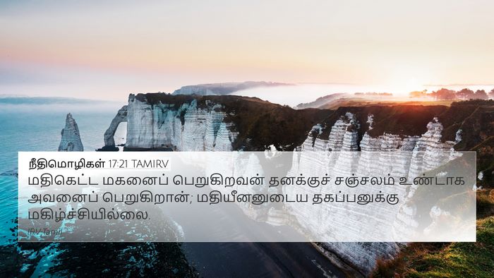 நீதிமொழிகள் 17:21 TAMIRV Bible Verse Image