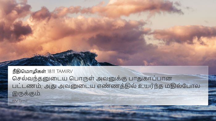 நீதிமொழிகள் 18:11 TAMIRV Bible Verse Image