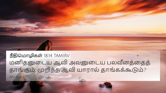 நீதிமொழிகள் 18:14 TAMIRV Bible Verse Image
