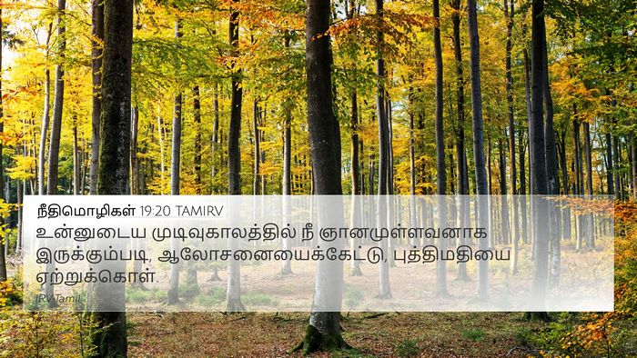 நீதிமொழிகள் 19:20 TAMIRV 4K Wallpaper - உன்னுடைய - 4K Wallpaper Bible Verse
