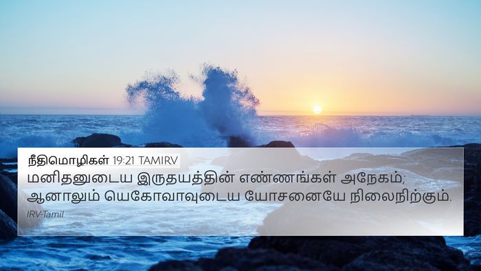 நீதிமொழிகள் 19:21 TAMIRV 4K Wallpaper - மனிதனுடைய - 4K Wallpaper Bible Verse