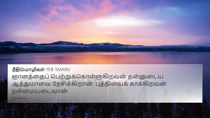 நீதிமொழிகள் 19:8 TAMIRV 4K Wallpaper - ஞானத்தைப் - 4K Wallpaper Bible Verse