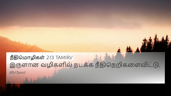 நீதிமொழிகள் 2:13 TAMIRV Bible Verse Image