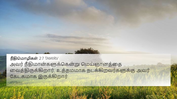 நீதிமொழிகள் 2:7 TAMIRV Bible Verse Image