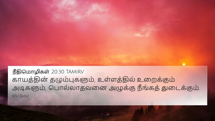 நீதிமொழிகள் 20:30 TAMIRV Bible Verse Image