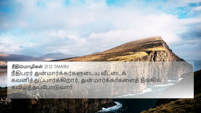 நீதிமொழிகள் 21:12 TAMIRV Bible Verse Image