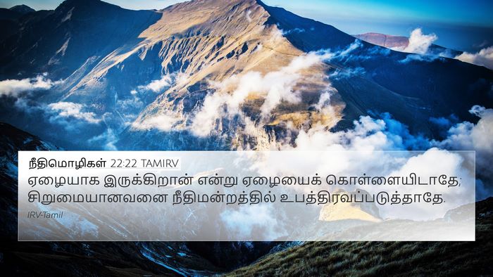 நீதிமொழிகள் 22:22 TAMIRV Bible Verse Image
