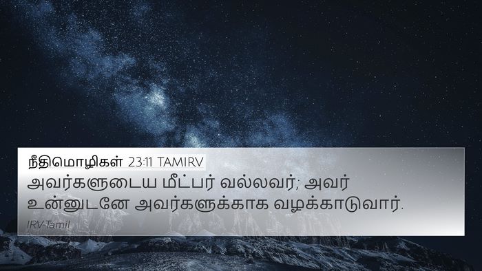 நீதிமொழிகள் 23:11 TAMIRV Bible Verse Image