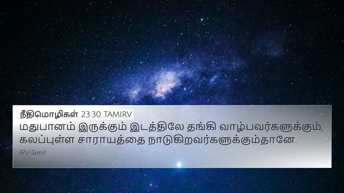 நீதிமொழிகள் 23:30 TAMIRV Bible Verse Image