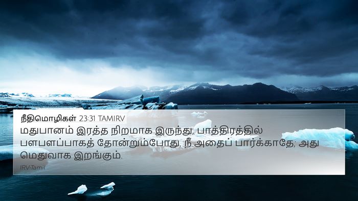 நீதிமொழிகள் 23:31 TAMIRV Bible Verse Image