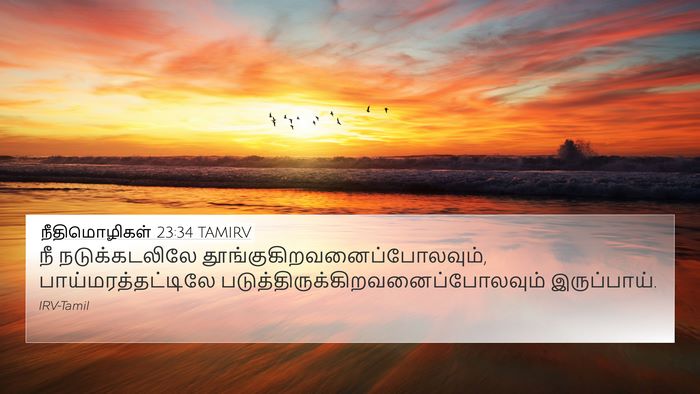 நீதிமொழிகள் 23:34 TAMIRV Bible Verse Image