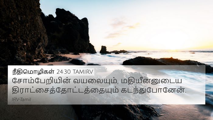 நீதிமொழிகள் 24:30 TAMIRV Bible Verse Image